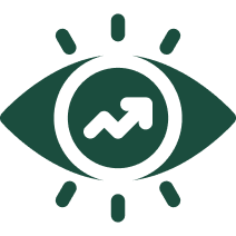 Our Vision